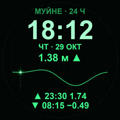 Экран «Осциллограф», 24 часа: монохромный зелёный, сетка и след луча прилива